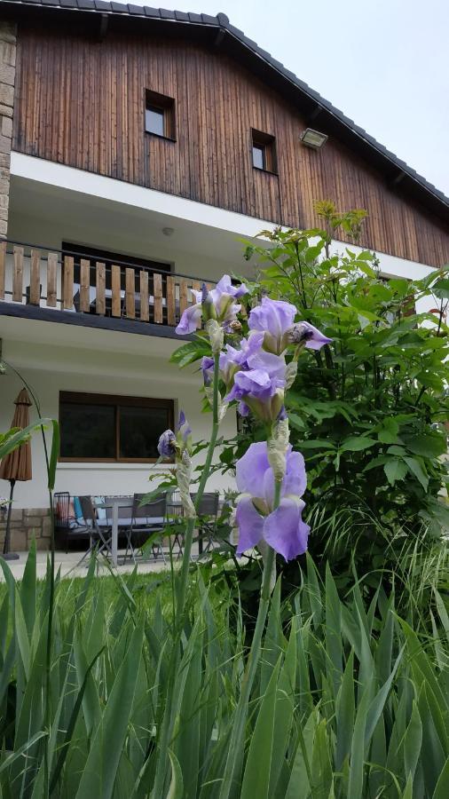 Maison d'hotes et Gîte près de Saint Girons - Le Jardin de Moulis Extérieur photo