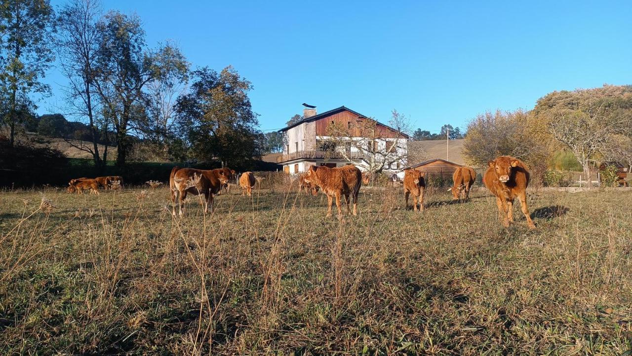 Maison d'hotes et Gîte près de Saint Girons - Le Jardin de Moulis Extérieur photo