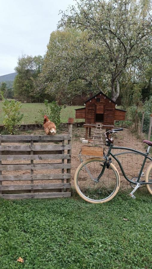 Maison d'hotes et Gîte près de Saint Girons - Le Jardin de Moulis Extérieur photo